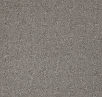 Ковролин AW Westminster 49 фото 1 | FLOORDEALER